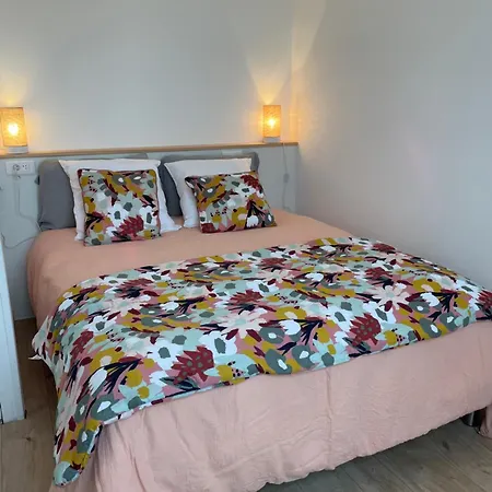 公寓 Terrasse 4 A 6 Adultes Linge Compris 3 Min Du Parc Puy Du F0u