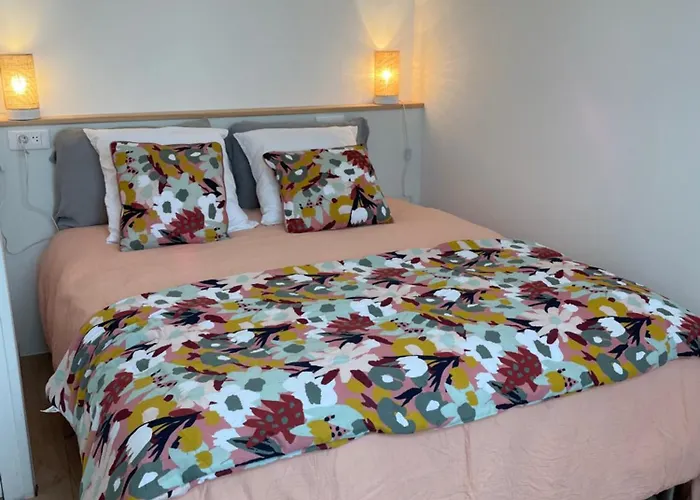 Διαμέρισμα Terrasse 4 A 6 Adultes Linge Compris 3 Min Du Parc Puy Du F0u